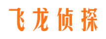 屏边市私家侦探